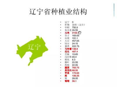 中国农业全息图谱 各省农作物种植数据背后的战略版图