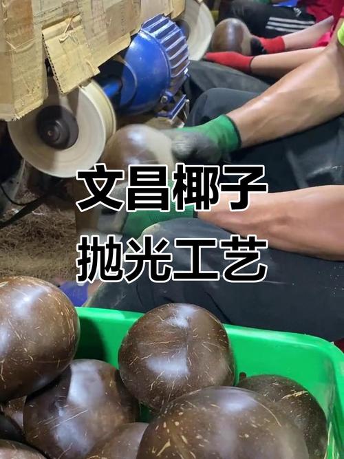 文昌椰子之乡 工厂抛光椰皇，打造优质农产品